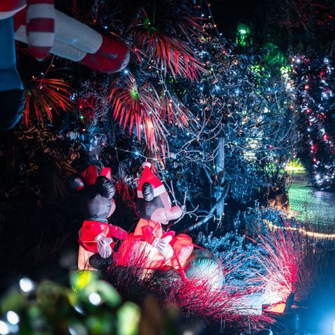 Winter Wonderland Evening Event
