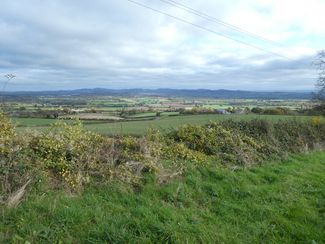Marcle Ridge and Woolhope Dome