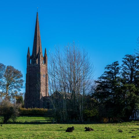View of St Peter and St Paul church, Weobley