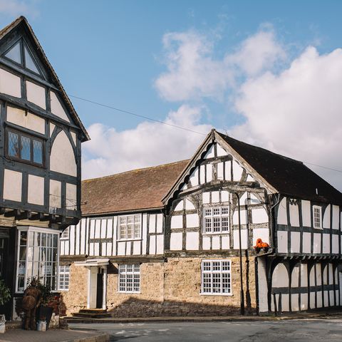 Lavender Blue with Annie Mac's Tea Room, Weobley