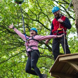 Tree Top zip wire
