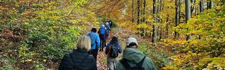 A group of people walking through woodland in autumn