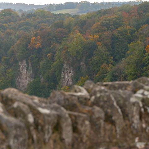 symonds yat