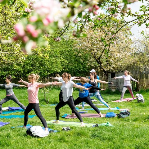 Yoga in Nature: Mindful Moment
