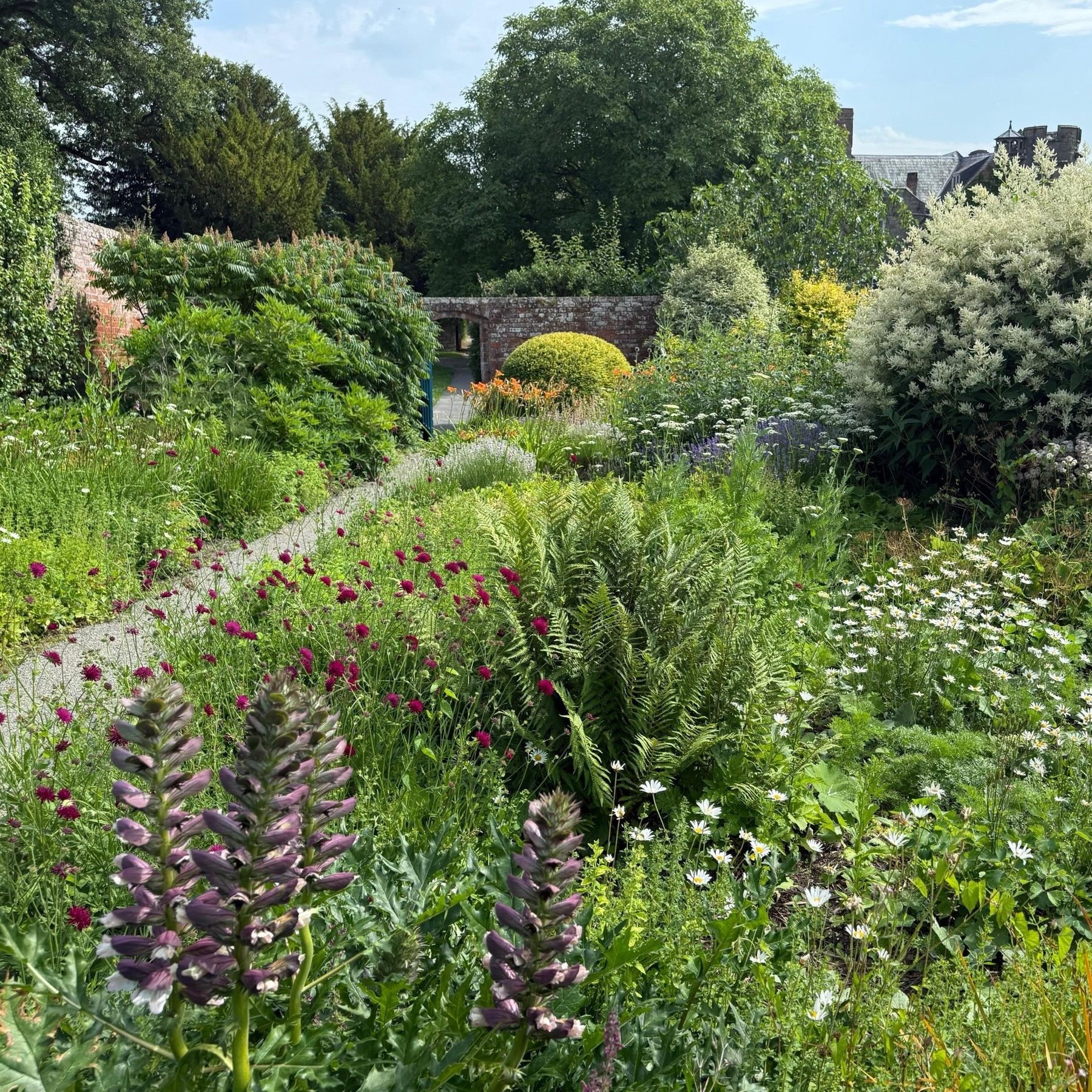 Summer borders at Croft Castle