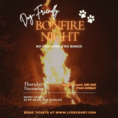 Bonfire Night – A Dog-Friendly Celebration