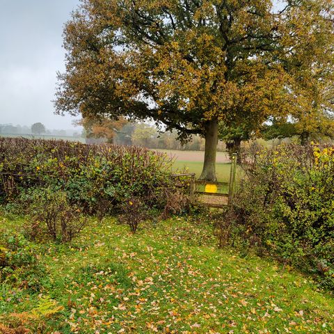Bromyard