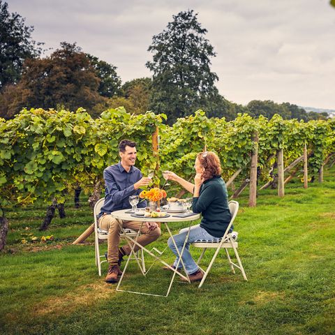 couple sitting at a table with wine in a vineyard