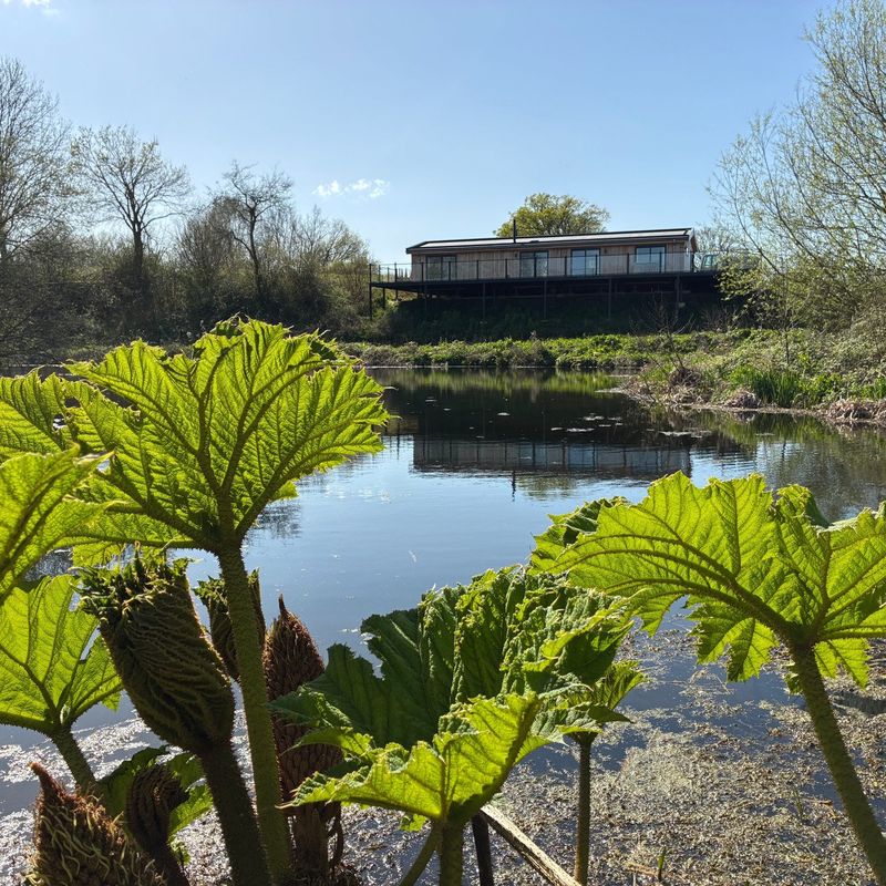 The Bank