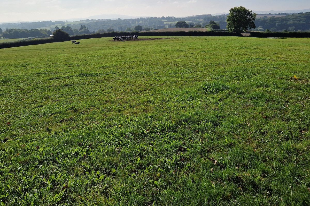 Family Walk: A river and orchards wander around Breinton
