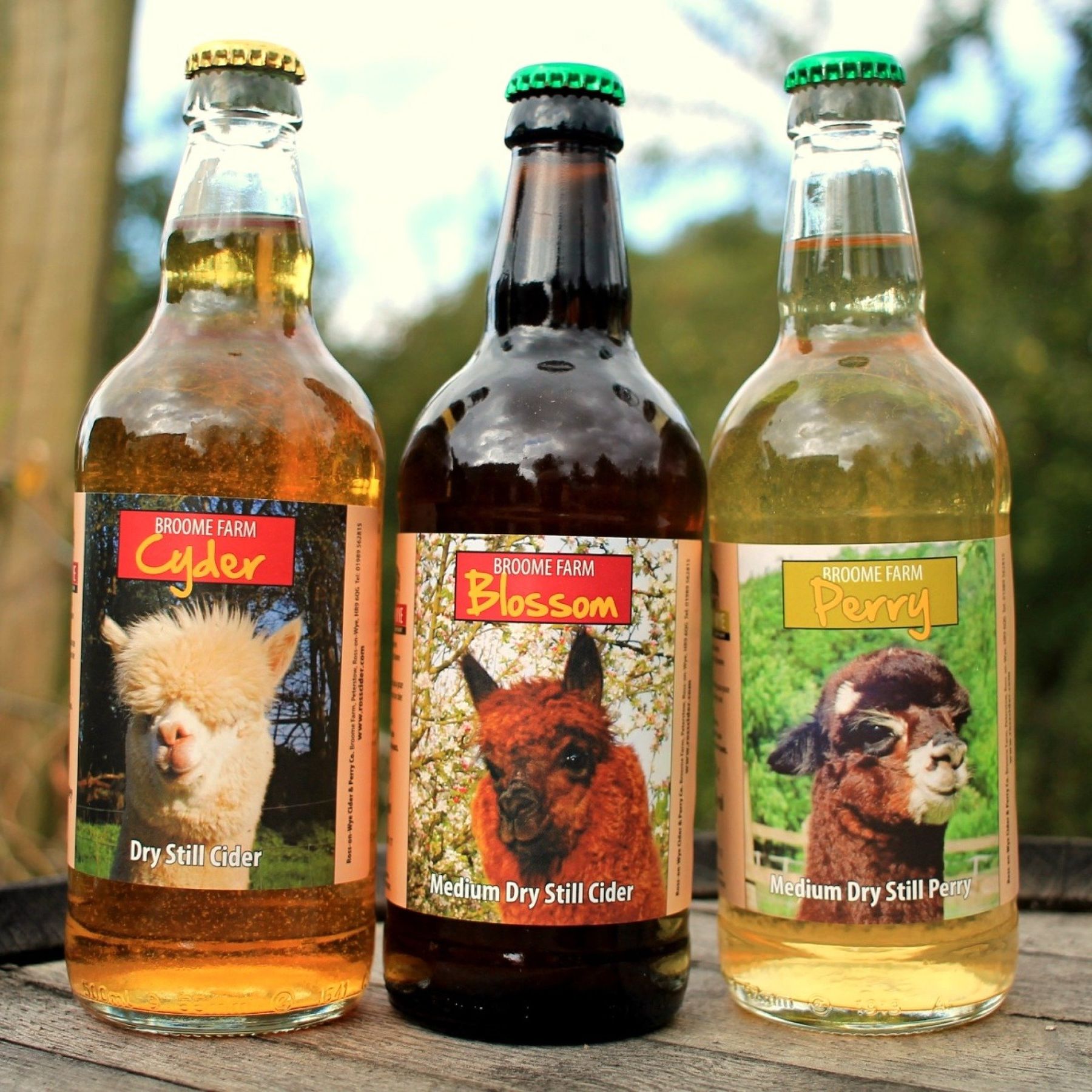 Our award winning Broome Farm cider