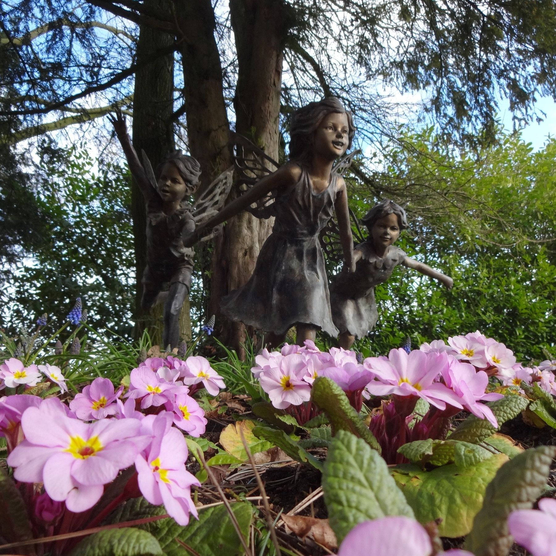 The Fairies