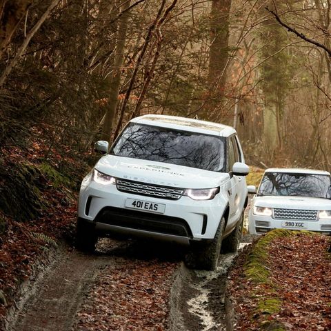 Landrovers driving woodland track