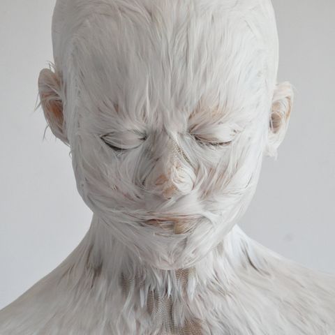 Head and shoulder of sculpture covered in feather-like texture