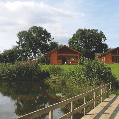 view across wooden footbridge looking towards log cabins in green field surrounded by trees