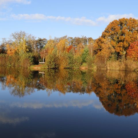 Woodside Lodges Autumnal Lake