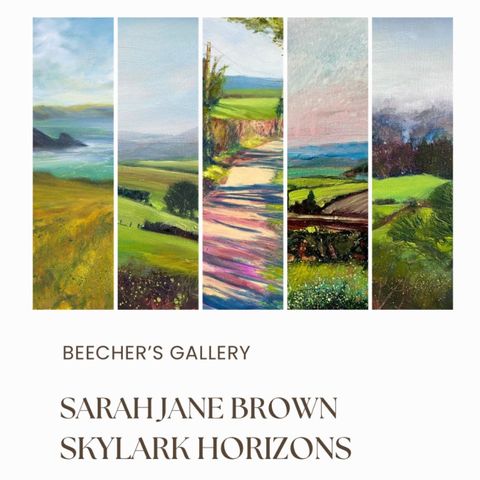 Exhibition Open Evening - Skylark Horizons: Sarah Jane Brown
