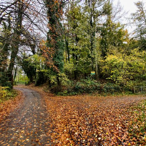 Bromyard