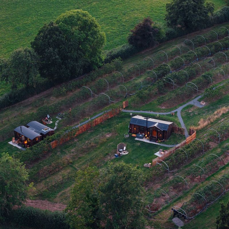 Orchard Escapes at Pitch Farm