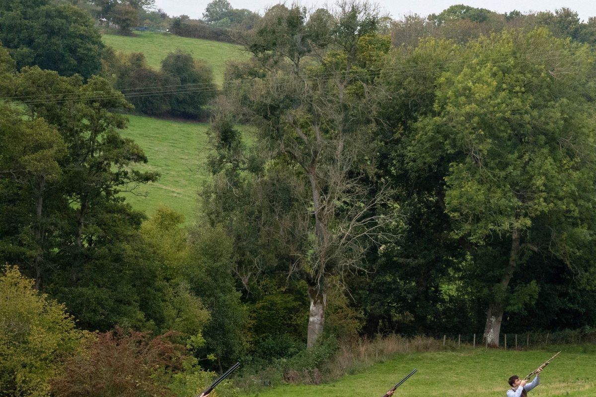 Rowden Abbey Shoot Day