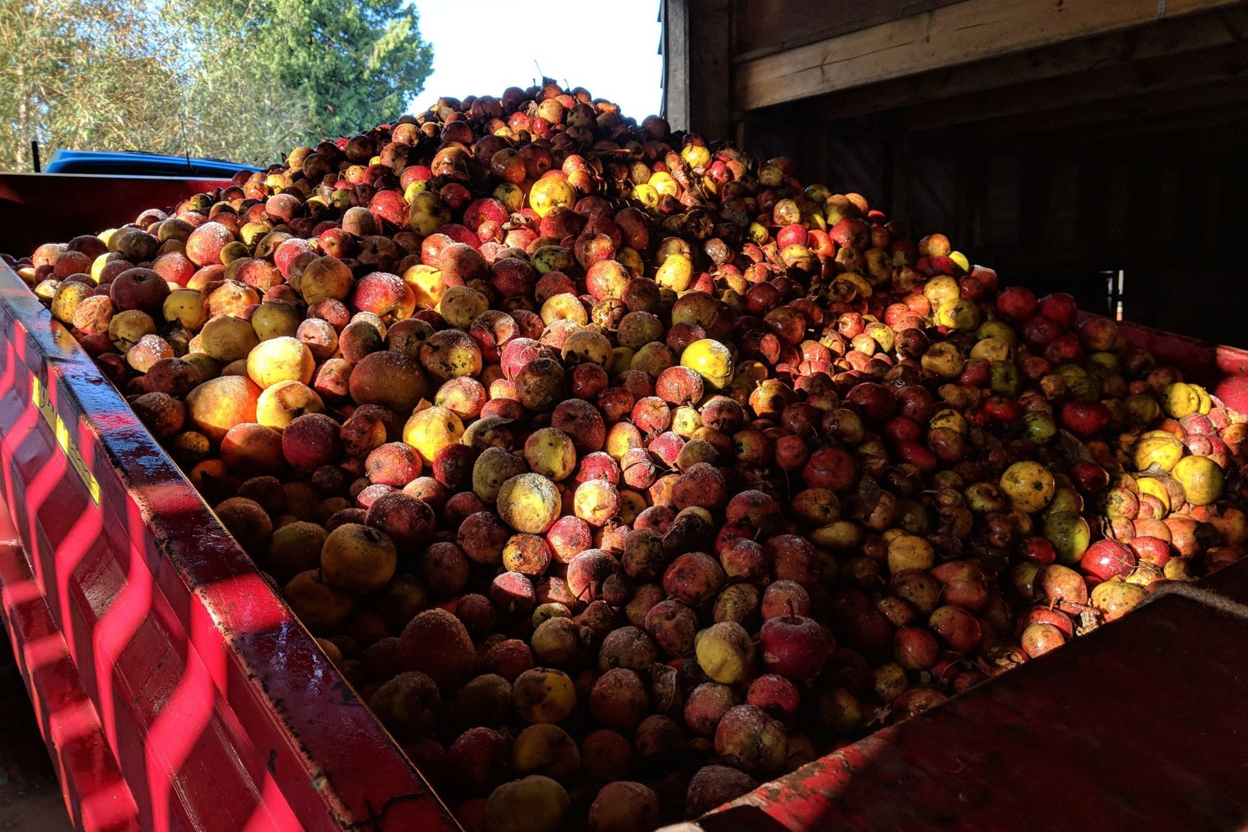 The apple season can last until late December! It gets very chilly!