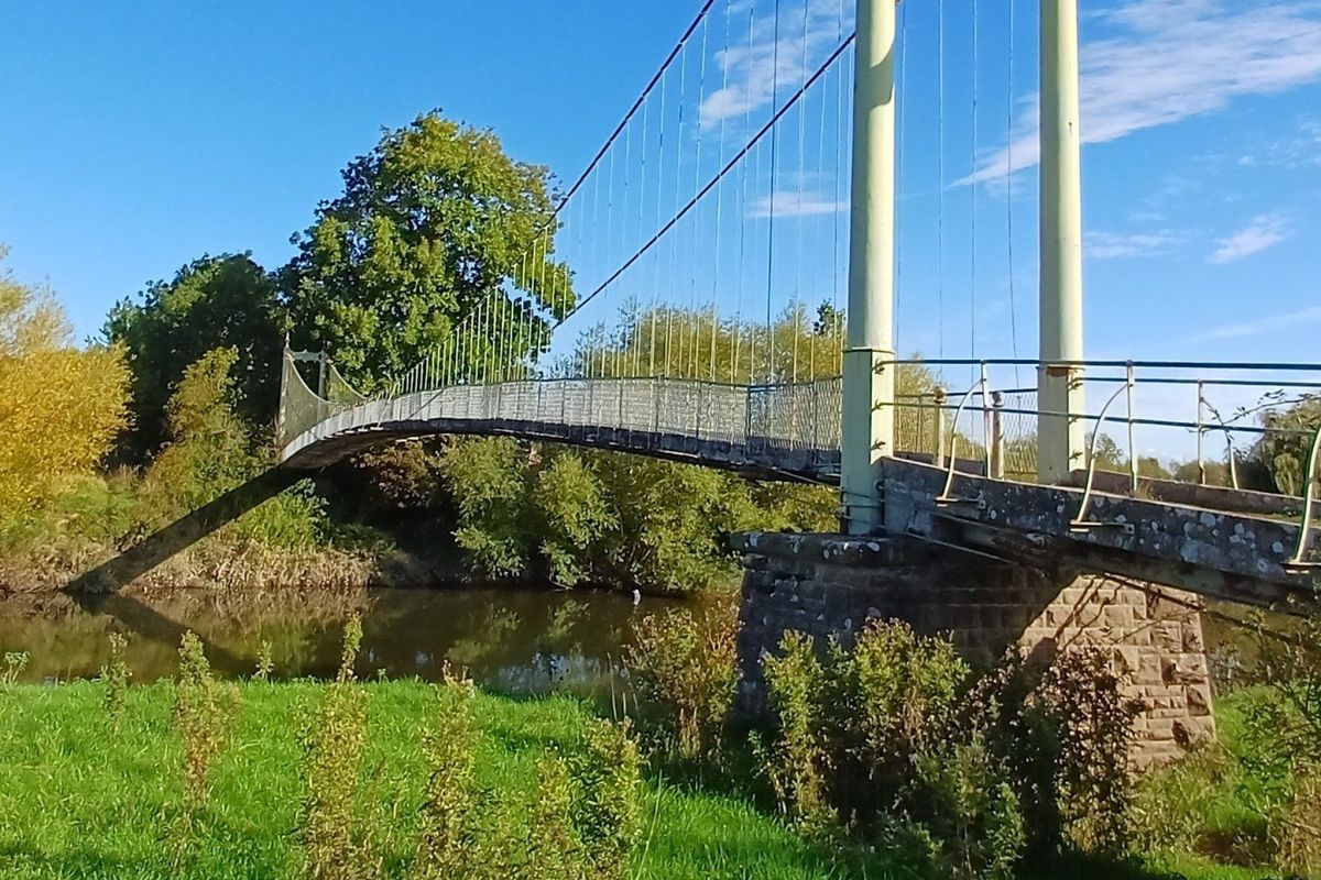 Ross Walking Festival