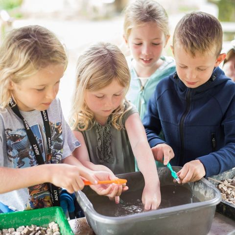 Archaeological dig as part of the Festival of Archaeology
