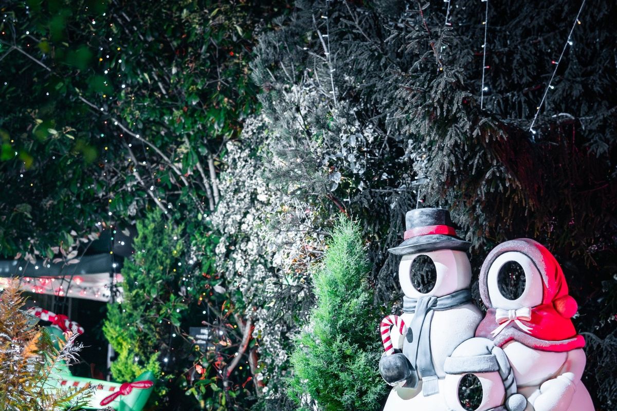 Winter Wonderland Evening Event