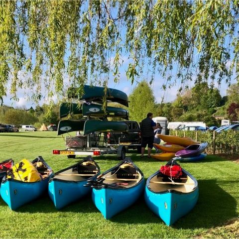 canoes lined up under a tree in a field on a sunny day 