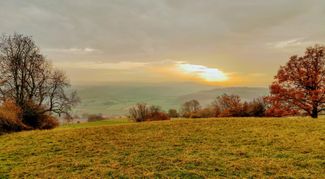Golden Valley