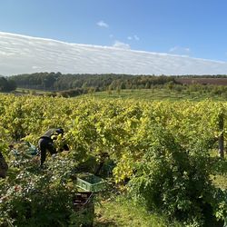 What a county!